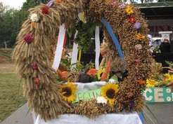 Zdjęcie z galerii: Dożynki Gminne - Jaromirowice 2015 (22.08.2015)