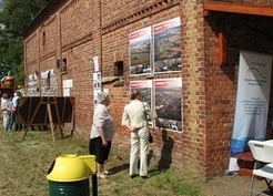 Zdjęcie z galerii: Dożynki 2013