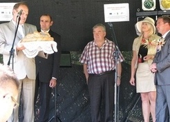 Zdjęcie z galerii: Dożynki 2013