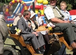 Zdjęcie z galerii: Dożynki 2013
