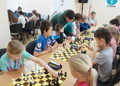 Zdjęcie z galerii: III Turniej Szachowy Gminy Gubin (Sękowice 19.05.2017)