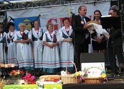 Zdjęcie z galerii: Dożynki w Chlebowie 2014