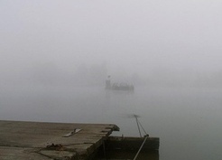 Zdjęcie z galerii: Przyroda