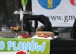 Zdjęcie z galerii: Dożynki w Chlebowie 2014