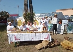 Zdjęcie z galerii: Fotorelacja z Dożynek Gminnych w Starosiedlu 24.08.2024