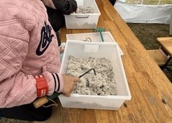 Zdjęcie z galerii: Dożynki Gminne w Drzeńsku Wielkim 23.08.2025r.