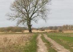 Zdjęcie z galerii: Kaniów