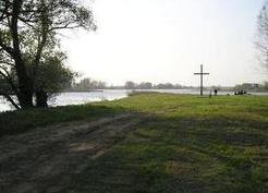 Zdjęcie z galerii: Kosarzyn