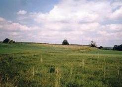 Zdjęcie z galerii: Polanowice