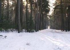 Zdjęcie z galerii: Przyborowice