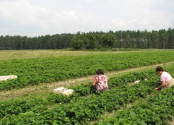 Zdjęcie z galerii: Wielotów