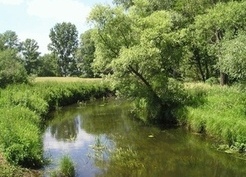 Zdjęcie z galerii: Przyroda
