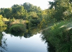Zdjęcie z galerii: Przyroda