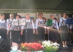 Zdjęcie z galerii: Dożynki Gminne - Jaromirowice 2015 (22.08.2015)
