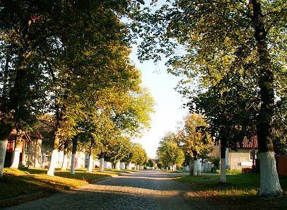 Chlebowo Gmina Gubin